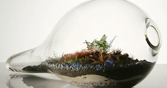 Tips: Como hacer un jardín en un frasco?