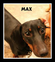 Maxie