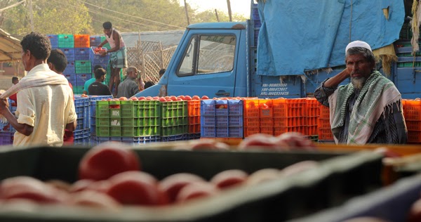 Who Moved My Tomato?