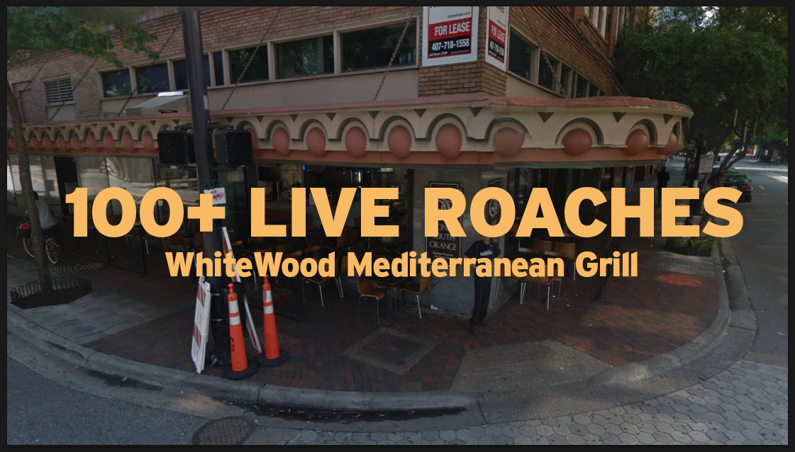 100+ Live Roaches in Whitewood Restaurant in Downtown Orlando During 8/