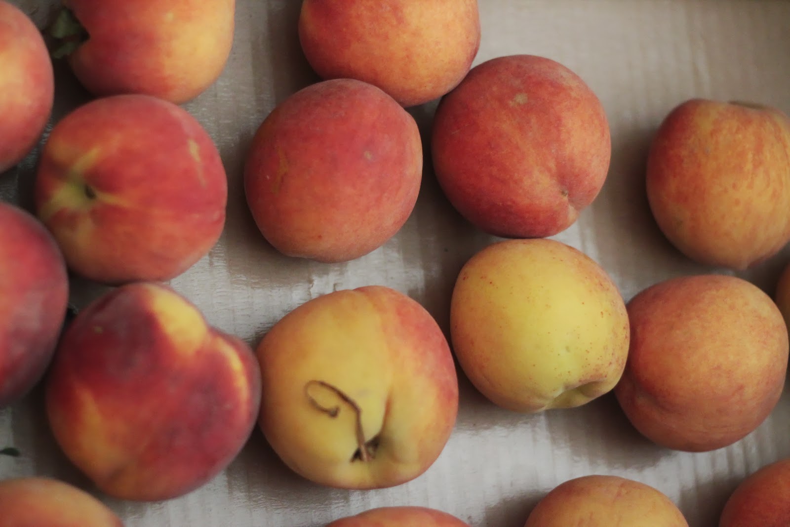 Lille Punkin' How To Can Fresh Stone Fruits You Buy at the Store