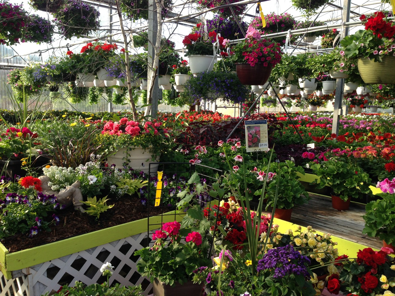 Bloomingwriter Gardening in Nova Scotia Great Nurseries in Nova Scotia