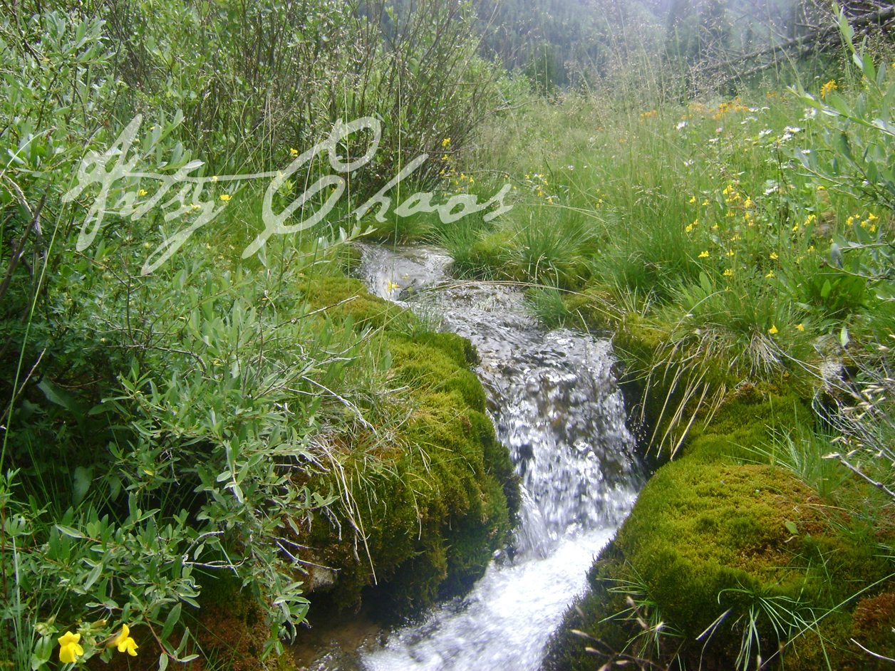 August 2011 testenjoyutah