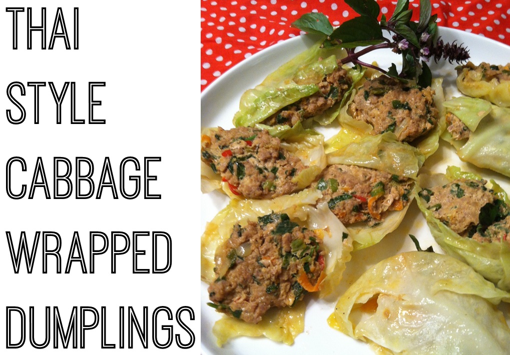 The Frugal Aesthetic Alternative Thai Dumplings Cabbage Wrapped