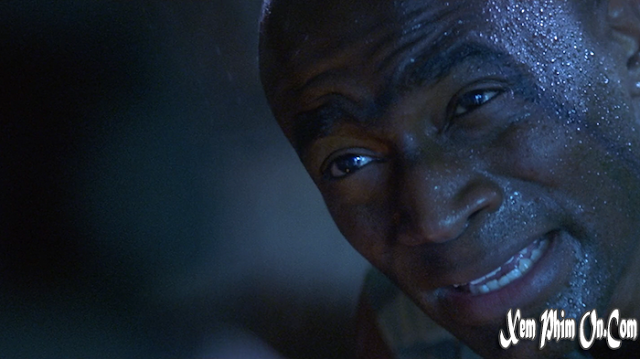 Đi Tìm Sự Thật