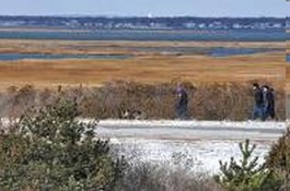 Long Island Serial Killer:CNN