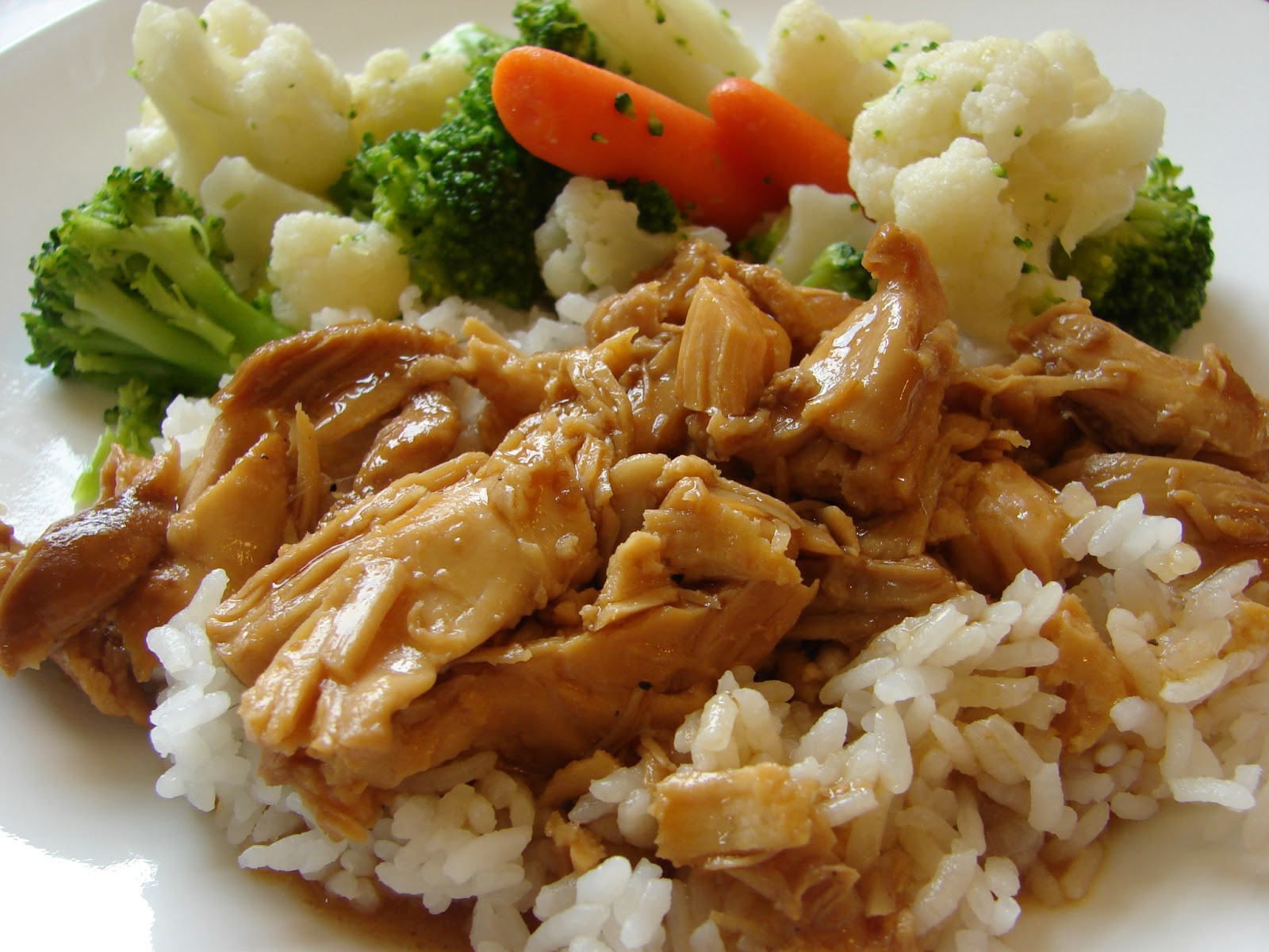 A Bear in the Kitchen Crock Pot Teriyaki Chicken