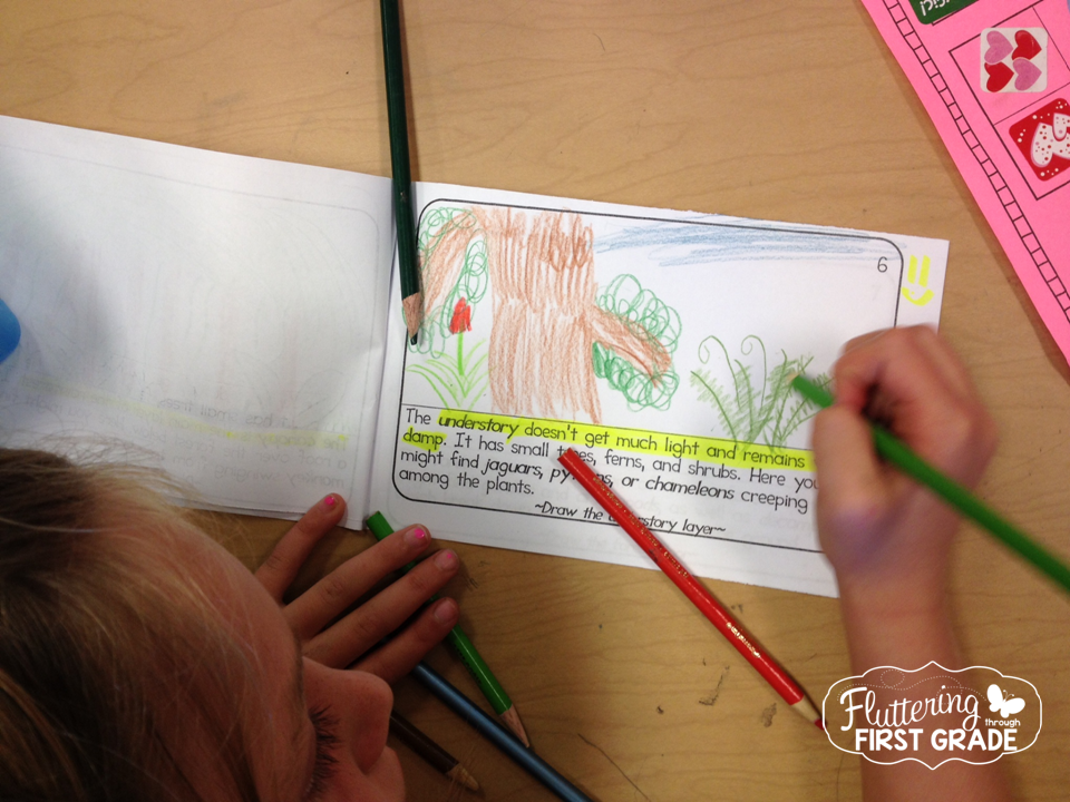 Habitats of the World Bundle...Plus, A Habitat Book Cover Freebie