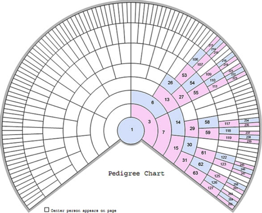 DNA and Family Tree Research Step 3.2 a match on the X?