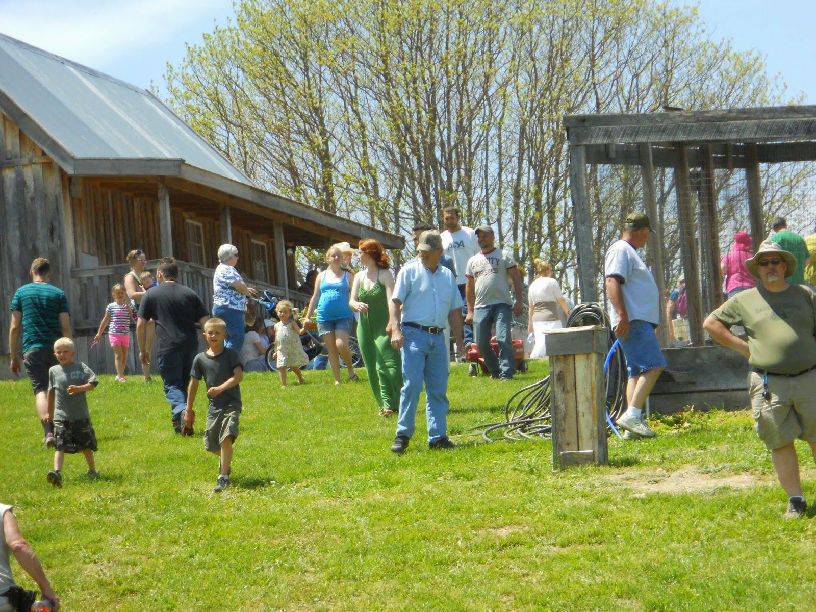 I AM Buddy, The BUDDHA From Mississippi ™ Baker Creek Heirloom Seeds