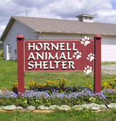 Hornell Humane Society Cats Hornell Humane Society Cats