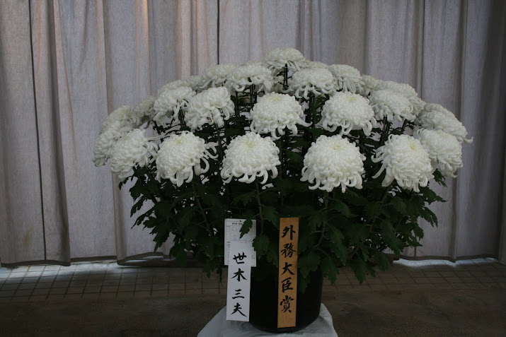 Foreign Minister Award: Chrysanthemum Exhibition at Toyama Fairy Tale Forest , Toyama prefecture