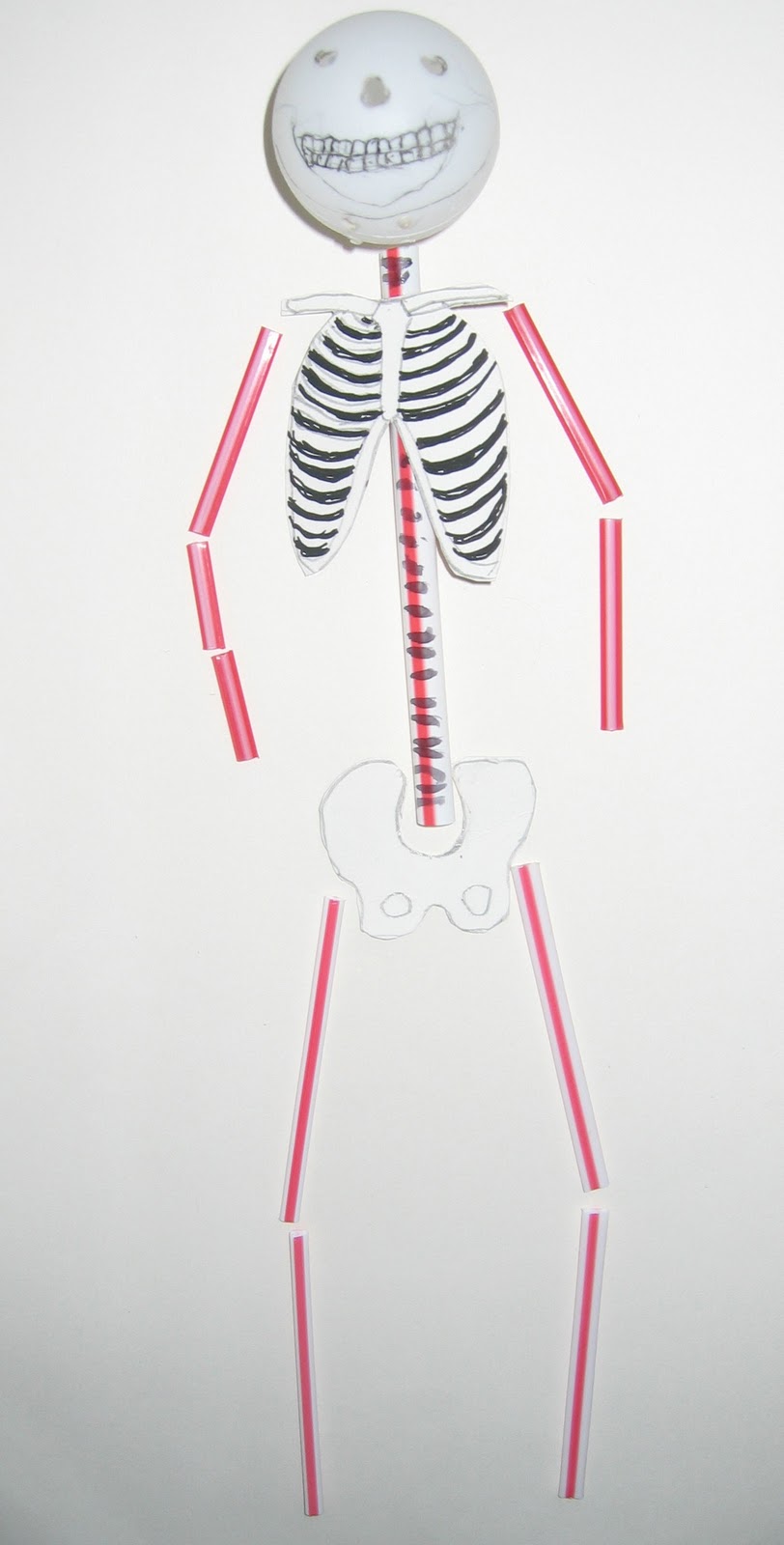 Label the skeleton worksheet pdf image
