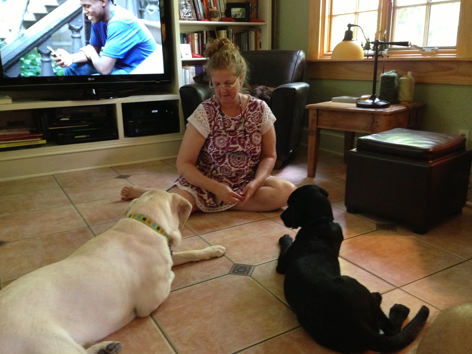 Mclean puppy chronicles: september 2013