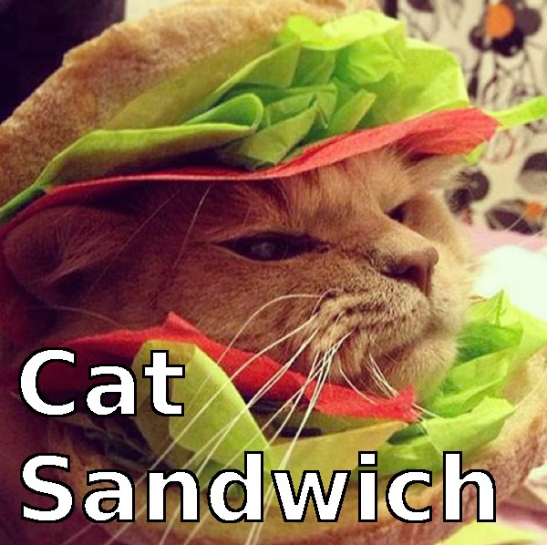 Cat In Costume Meme Cat In Costume Meme