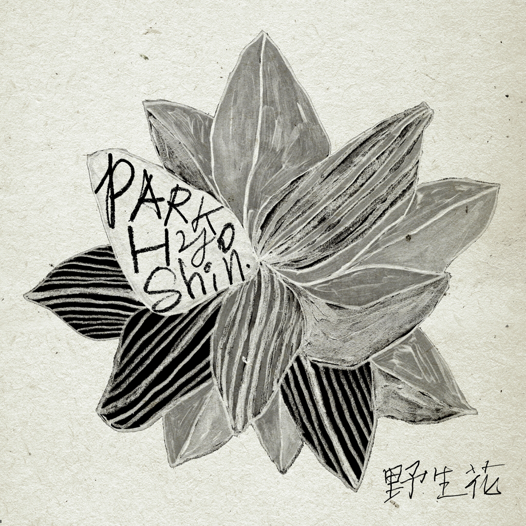 Park Hyo Shin – Wild Flower – Single