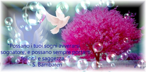 Possano i tuoi sogni avverarsi, sognatore; e possano sempre portarti felicità e saggezza.