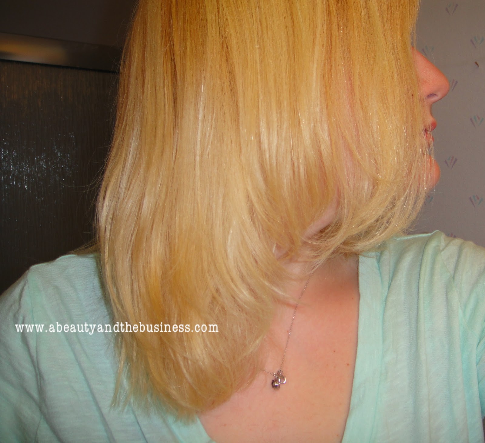 Wen Fig Cleansing Conditioner Review Before And After Photos A