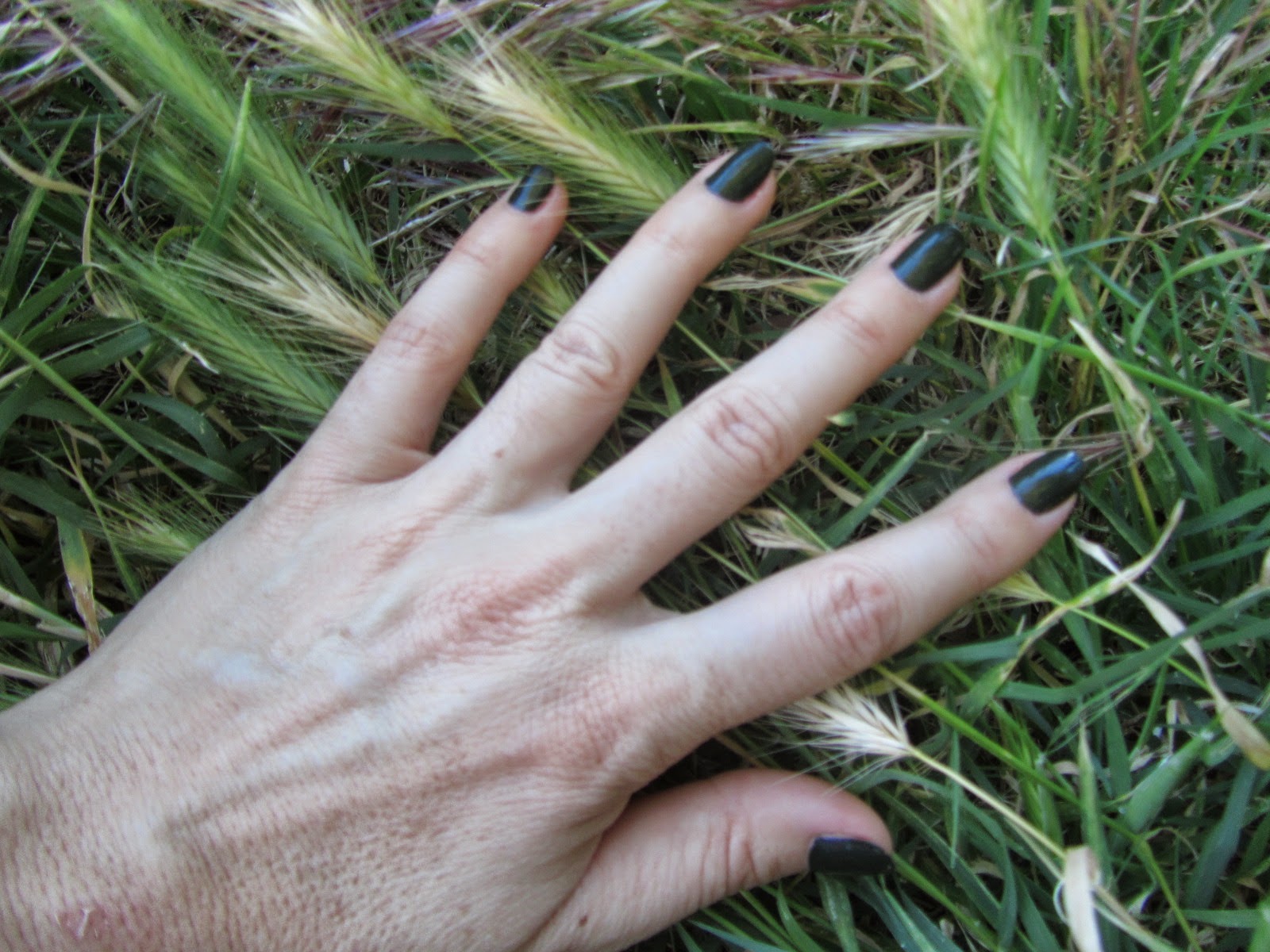 Blog Ufficiale giugno 2014