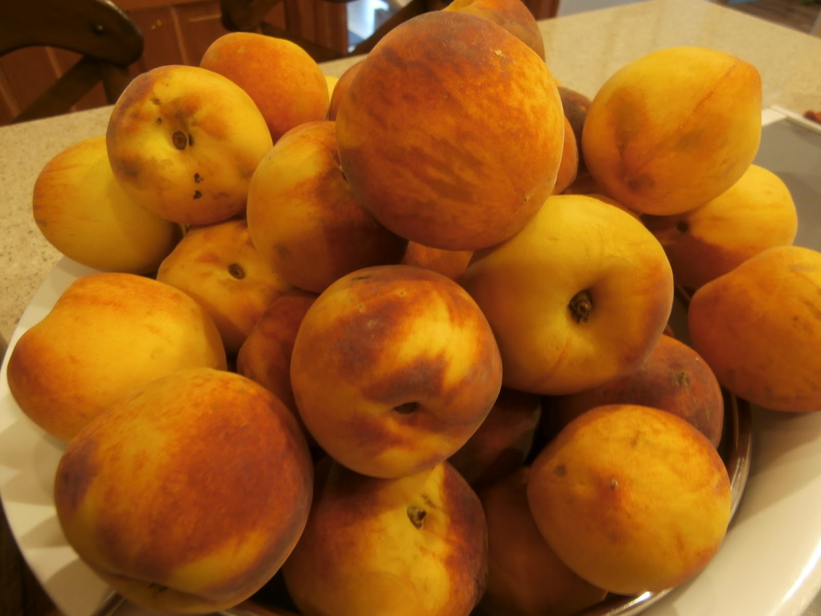 The Sustainable Couple Millions of Peaches. Peaches for Me.