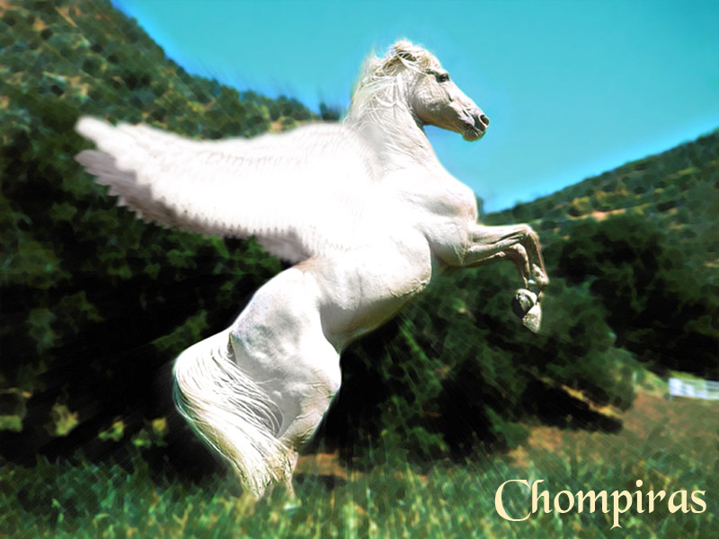 ojos de brujo - sultanas de merkaillo, del nuevo CD