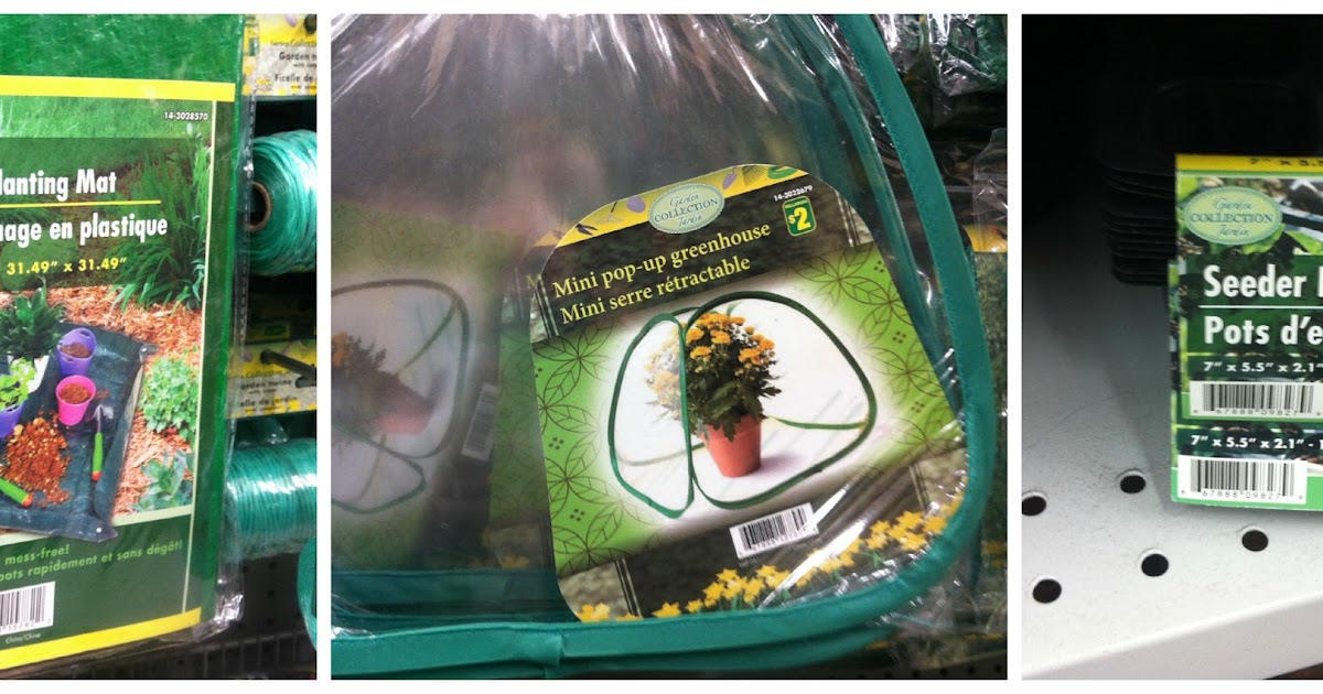 Meredith's Garden Blog The Dollarama Garden