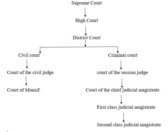 CBSE Grade 8 The judiciary
