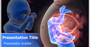 Human Fetus Development PowerPoint Template - Human fetus PowerPoint template