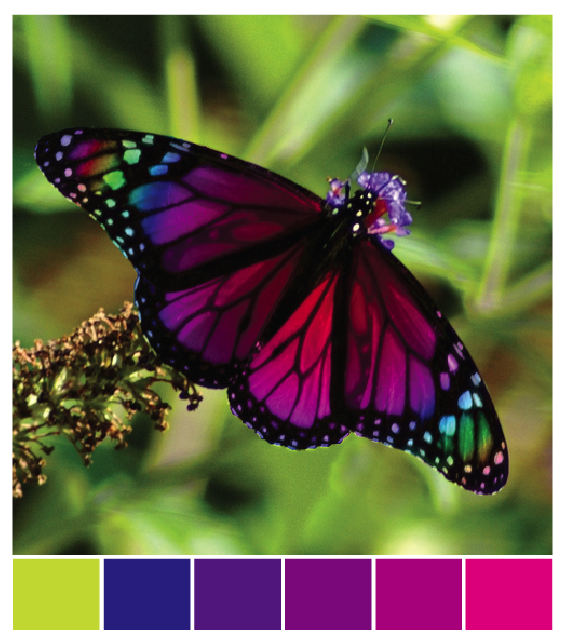 INSPIRATIONS MAGAZINE issue 76 RARE * PATTERNS STILL ATTACHED vgc INSPIRATIONS MAGAZINE issue 76 RARE * PATTERNS STILL ATTACHED vgc