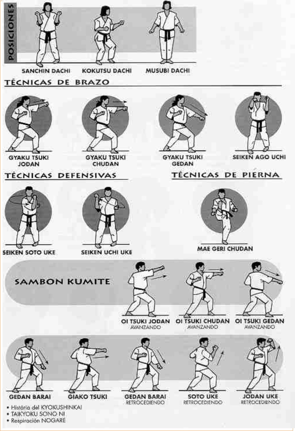 KARATE KYOKUSHIN BREDA KYUS