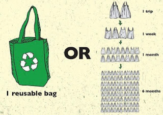 Graphic displaying 1 re-usable bag being equal to 2 plastic bags per trip, 4 per week, 16 per month, or 96 in 6 months