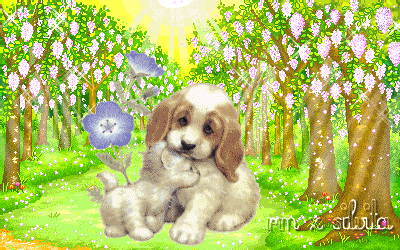 Kết quả hình ảnh cho hình ảnh động