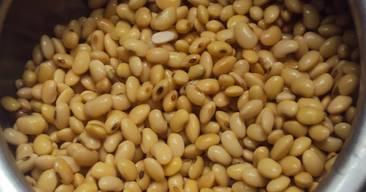 home made soy milk from scratch and home made tofu recipe