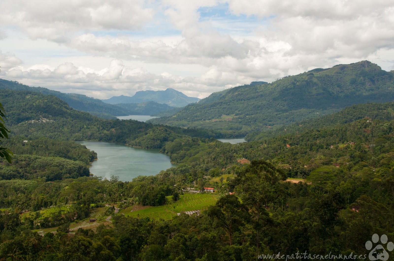 Nuwara Eliya