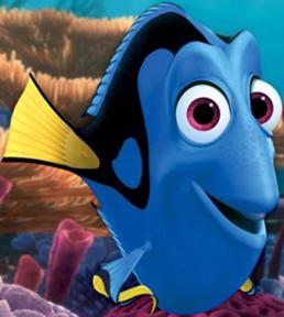 finding nemo fish with buck teeth finding nemo fish with buck teeth