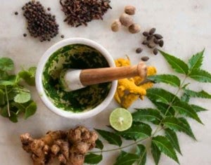 acupuntura terapia alternativa acupuntura terapia alternativa