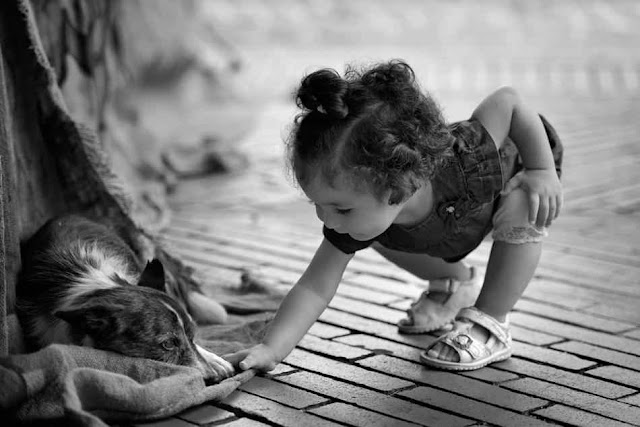loyal-friend-ANIMALS+BEAUTIFUL+ANIMALS+BEAUTIFUL+CATS+BEAUTIFUL+DOGS+FRIENDS+LOYAL+PETS+PHOTOS+suresh+koyal+picsvan.blogspot.com+(15).jpg