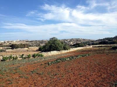 qrendi farmland