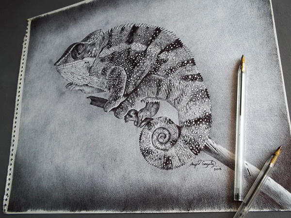 Rango Realista Camaleón Dibujo