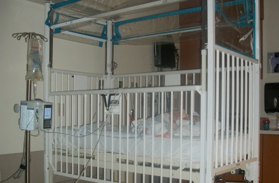 Peanut's Adventures New Experience Cage Bed