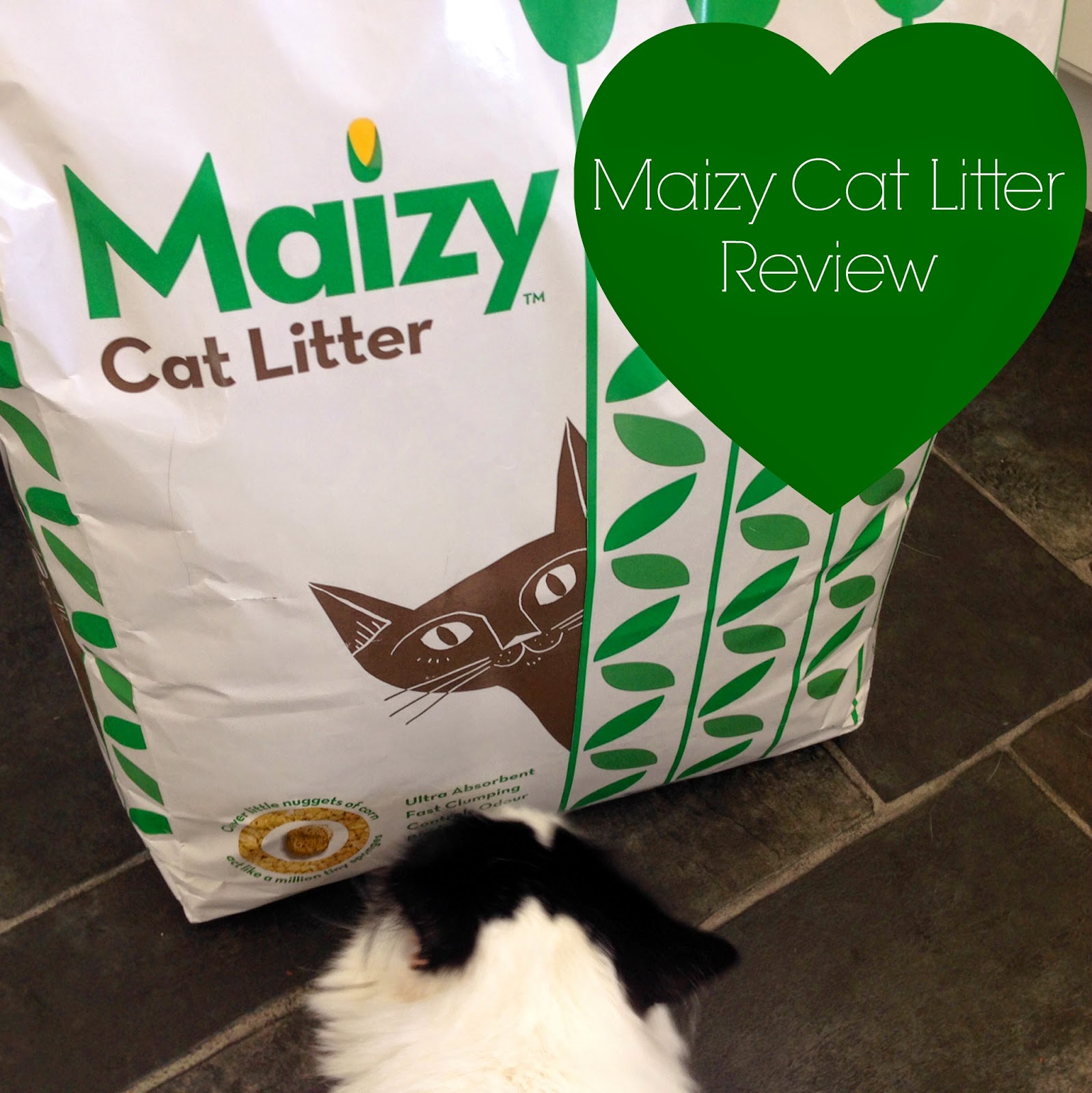 LIFESTYLE MAIZY KITTY LITTER REVIEW Lilla Loves