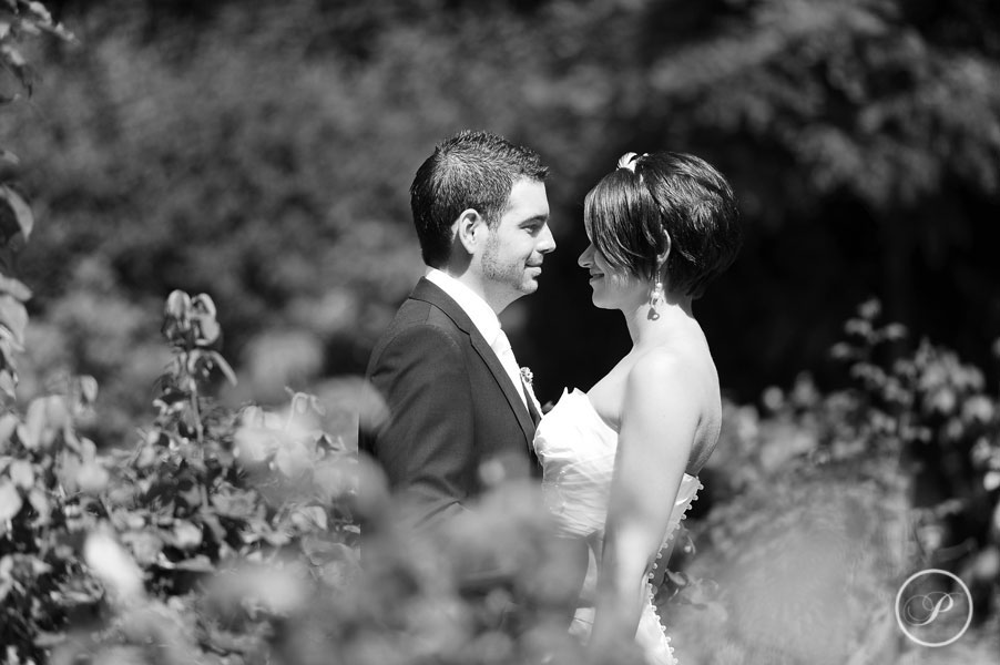 Schwabische Alb Entdecken Sie Die Landschaft Zwischen Neckar Und