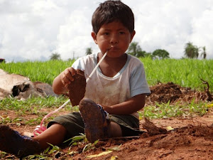 Acampamento Indígenas Guarani Kaiowa