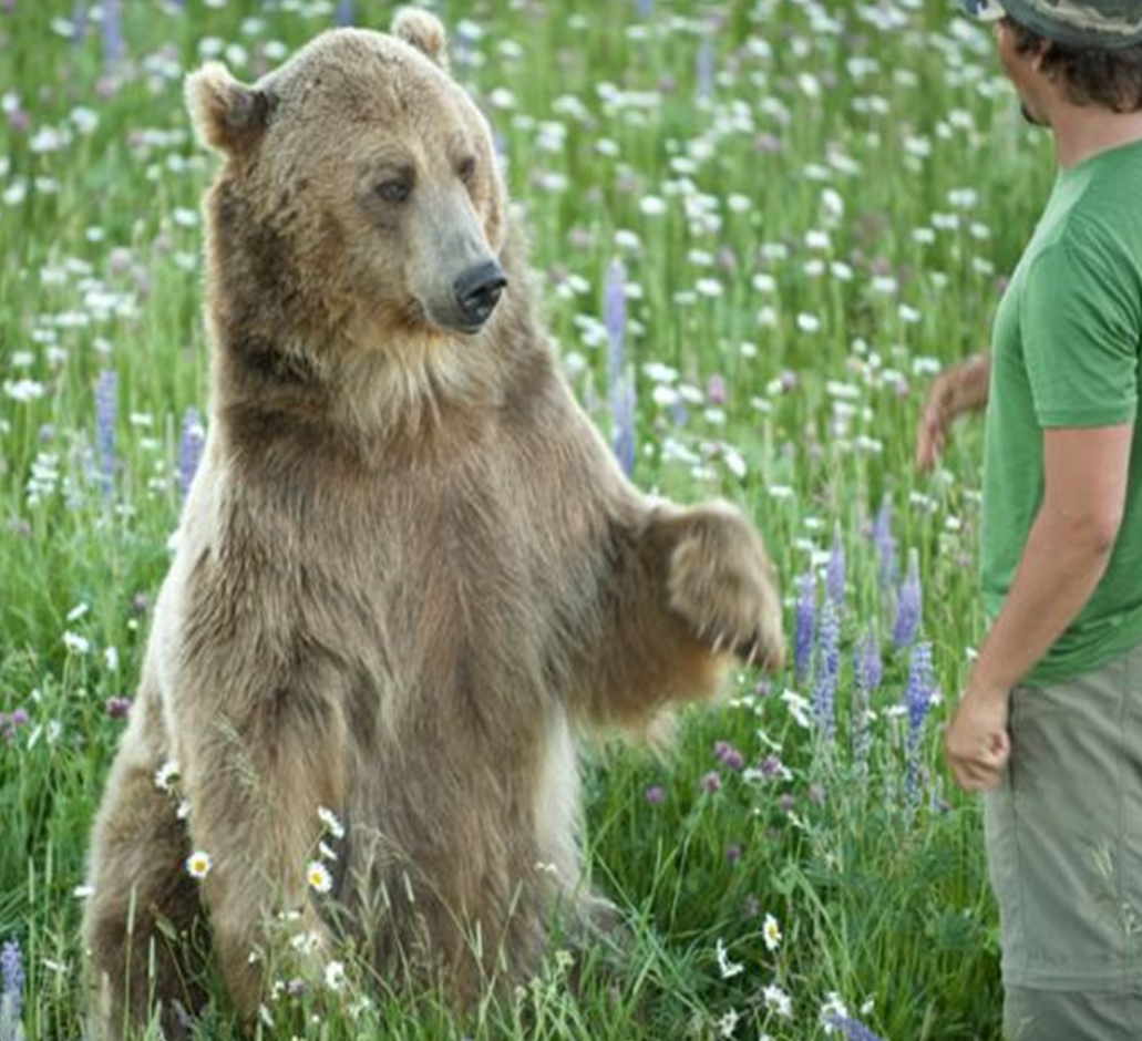 Moni`s blog 2 Tierwelt zum verlieben: Neue lustige Tierbilder. Viel Spass.