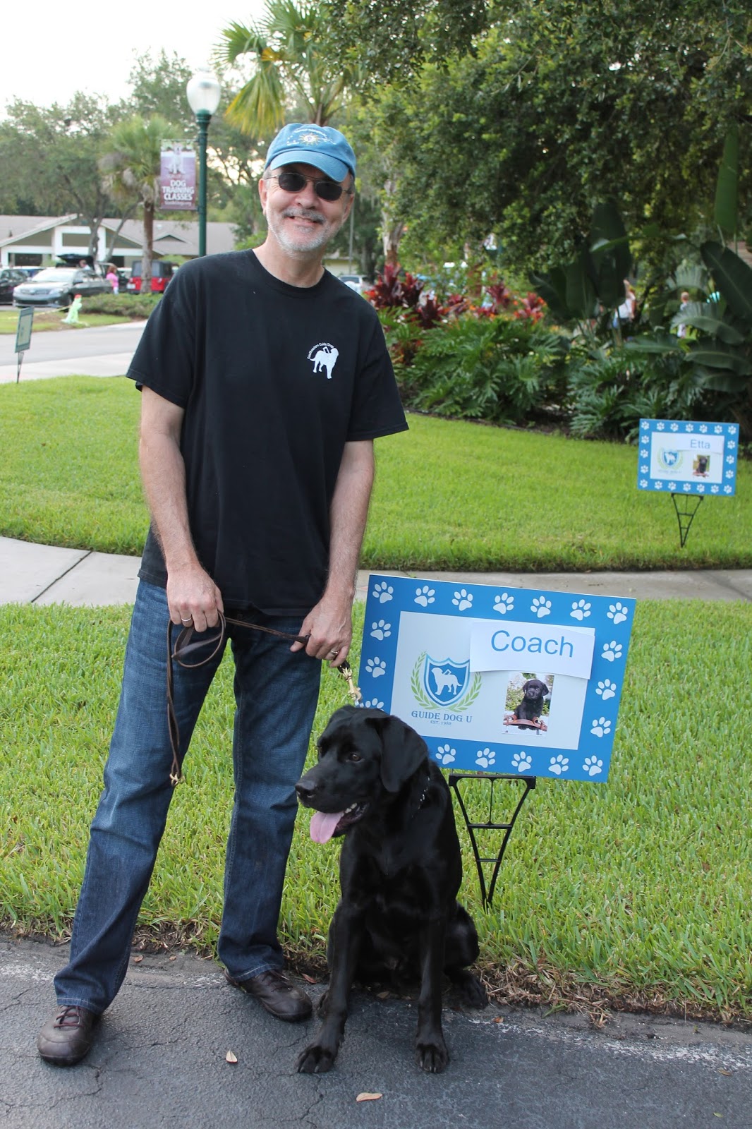 Mclean puppy chronicles: september 2013