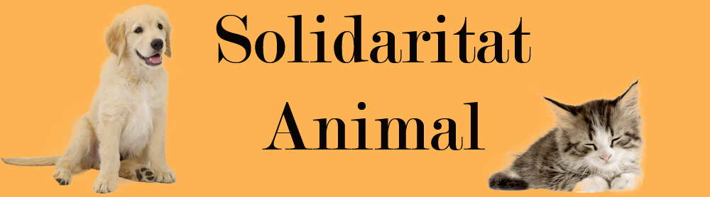 Solidaritat Animal