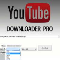 YTD Video Downloader PRO 4.9.0.3 Crack