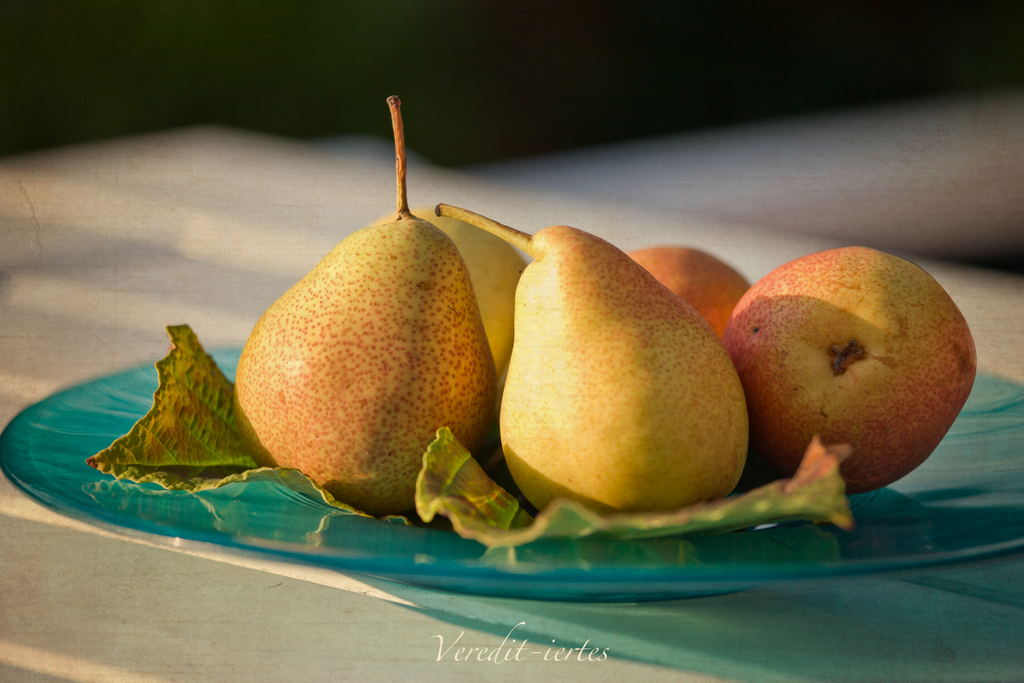 Kinder Gedichte Welt Das Erste Birnbaumgedicht 1875