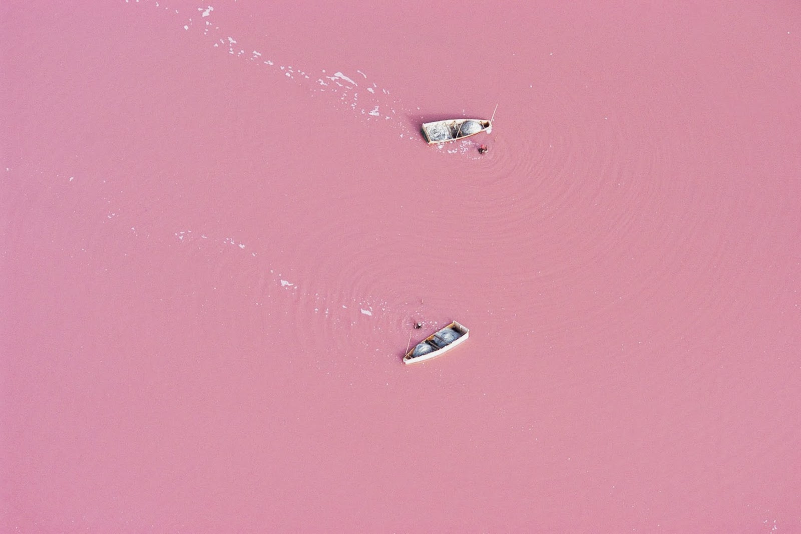  pequeñas curiosidades  - Página 16 Aerial+photograph+of+salt-collecting+boats+on+Lake+Retba,+Senegal-861942