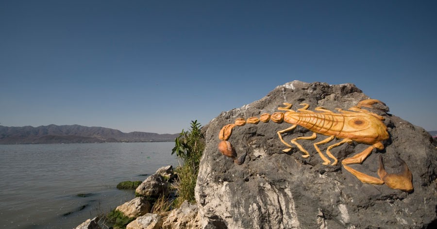 Salvemos al lago de Chapala!! Isla de los Alacranes!!